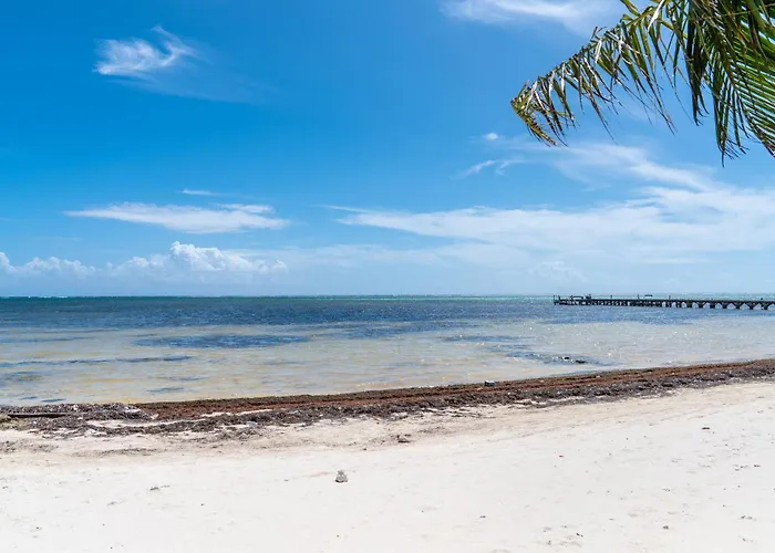 Residences At Barrier Reef 10-1c Oceanfront 2 Bedroom By Floreo *